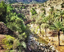 Morocco oasis
