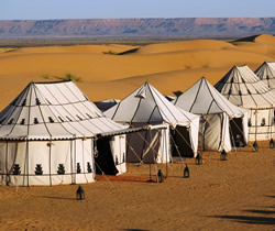Sahara desert camp