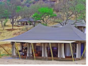 Serengeti Migration Camp