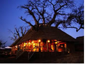 Tarangire Treetops