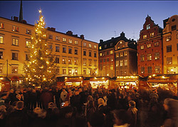 Zoom Vacations exclusively gay New Years Scandinavia tour