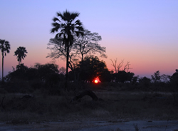 Kruger Park gay luxury safati