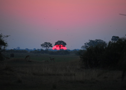 Kruger Park gay only luxury safati