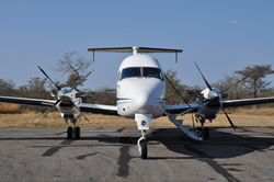 Kruger Park gay safari tour