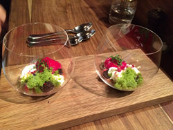 South Africa gay luxury tour