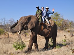 South Africa gay safari tour