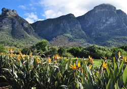 South Africa gay luxury tour