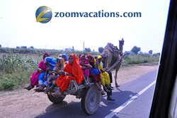 Zoom Vacations Exclusively gay India  tour