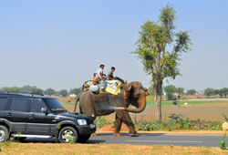  Gay India Tour