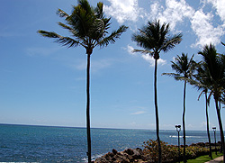 All Gay Puerto Rico tour