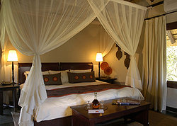 Exclusively gay South Africa tour hotel - Sabi Sabi Little Bush Camp Safari Lodge