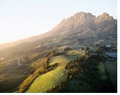 South Africa Exclusively gay tour - Wine Valley