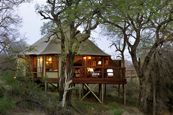 Hamiltons Tented Camp Safari Lodge