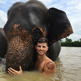 Gay Thailand elephants